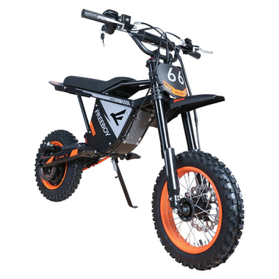FREEBOY Y66 Electric Dirt Bike-1