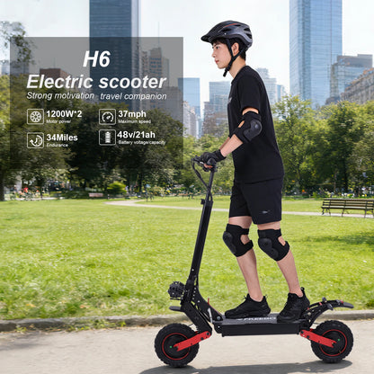 FREEBOY H6 Electric Scooter
