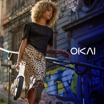 FREEBOY Electric Scooters and Electric Bike - Urban Commuter Mobility Series